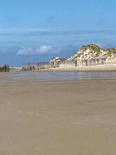 Duinstrand ブールグ・ハームステーデ エクステリア 写真